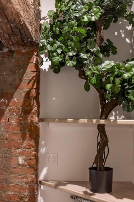 Apartament Le Saint-Georges Lyon Zewnętrze zdjęcie
